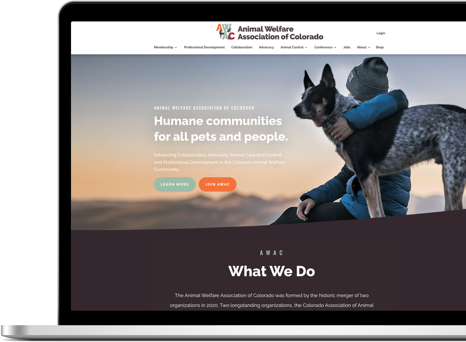 Animal Welfare Association Of Colorado Website